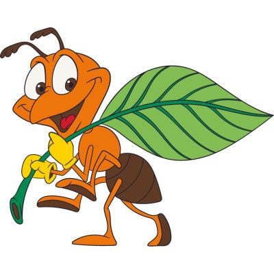 Розфарбовка 25*30см Мураха на підрамнику фарби пензлики у термоплівці 15044-AC Art Craft