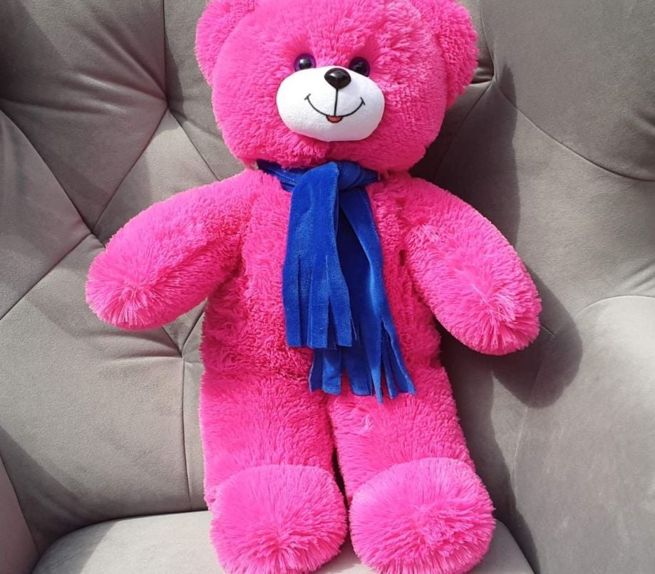 М'яка іграшка Ведмедик Ласунчик у шарфику 64 см малиновий Ч159МА чайка