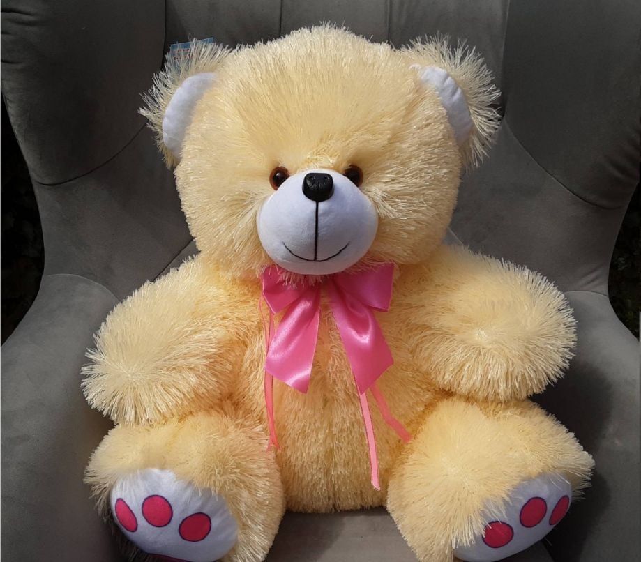 М'яка іграшка ведмедик Дімка  травка персик Ч123П чайка