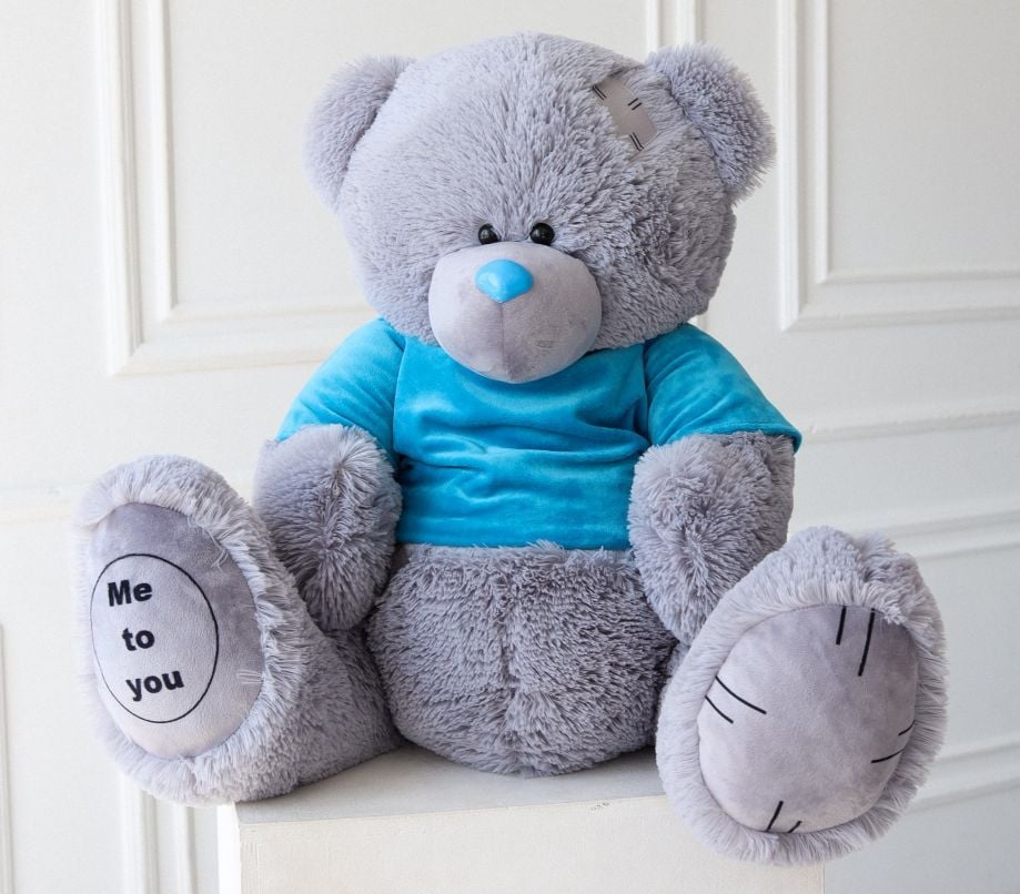 М'яка іграшка ведмедик Тедді хлопчик Ч056ХЛ чайка