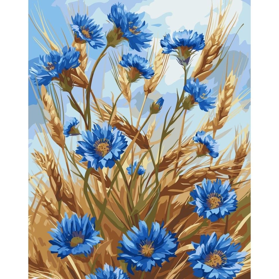 Картина по номерах 40*50см Волошки фарбами пензлики в термоплівці 13127-AC Art Craft