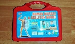 Набір лікаря Людське тіло Анатомія людини 17ел мед обладнання у валізі 20*15*5см 3218 Китай