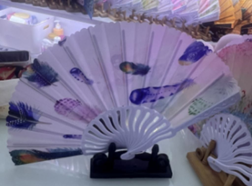 Віяло Пір'я мікс кольорів C2836 Китай