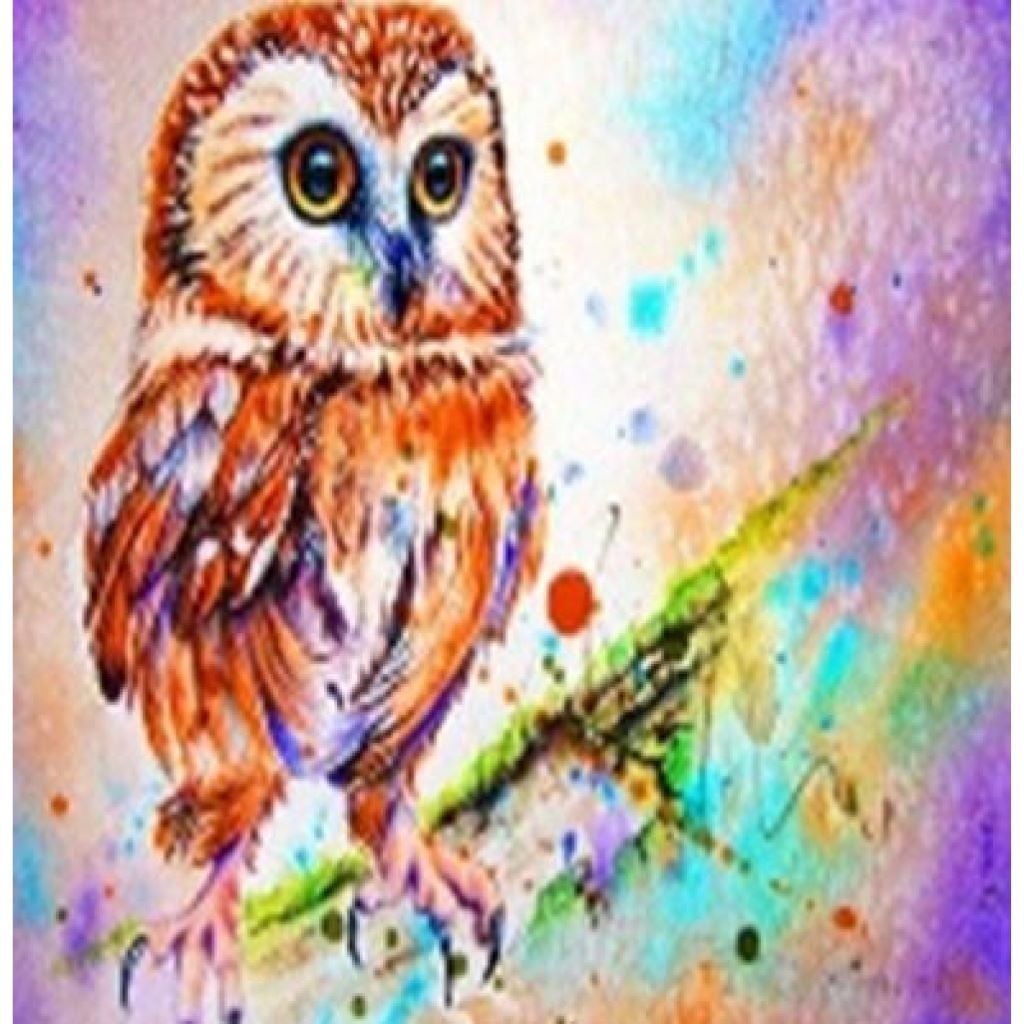 Алмазна мозаїка 40*50 см Сова на підрамнику у коробці GLE71267 Josefotten