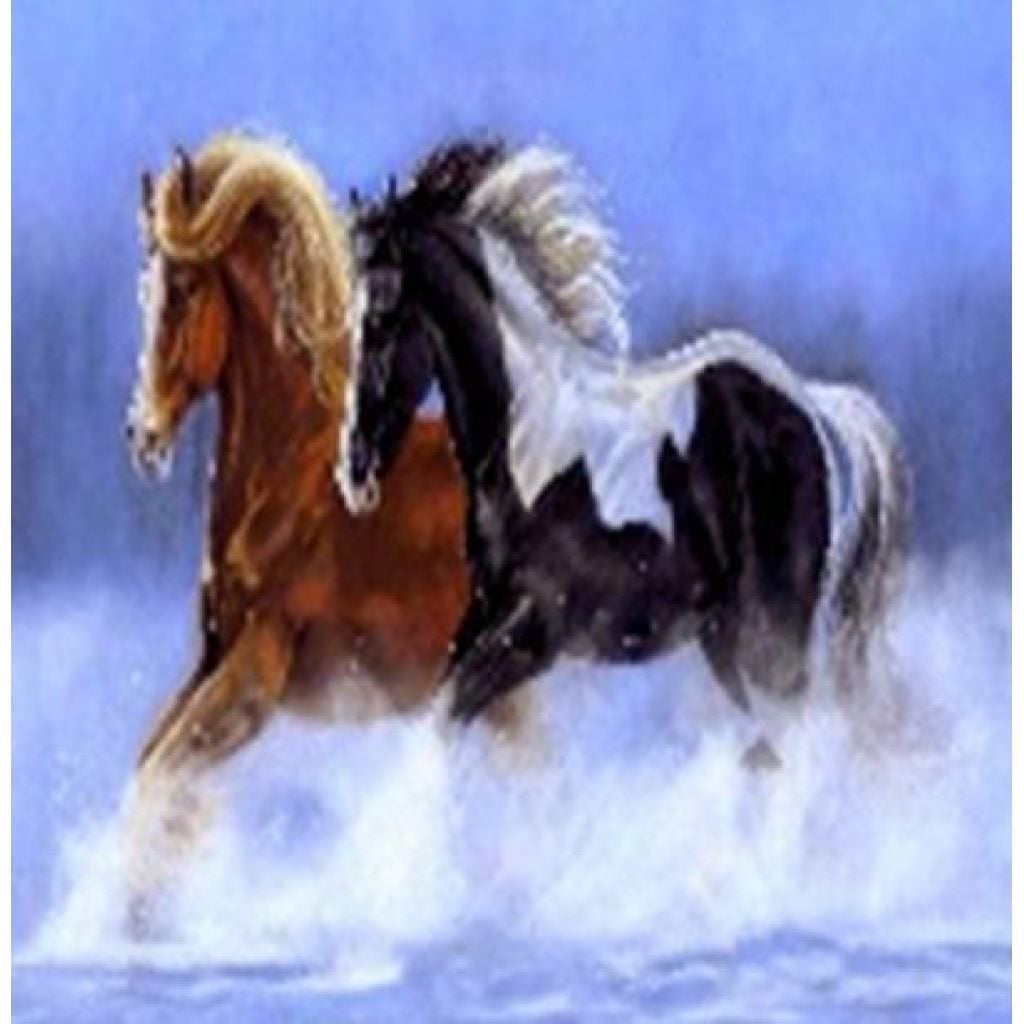 Алмазна мозаїка 40*50 см Коні на підрамнику у коробці GLE71118 Josefotten