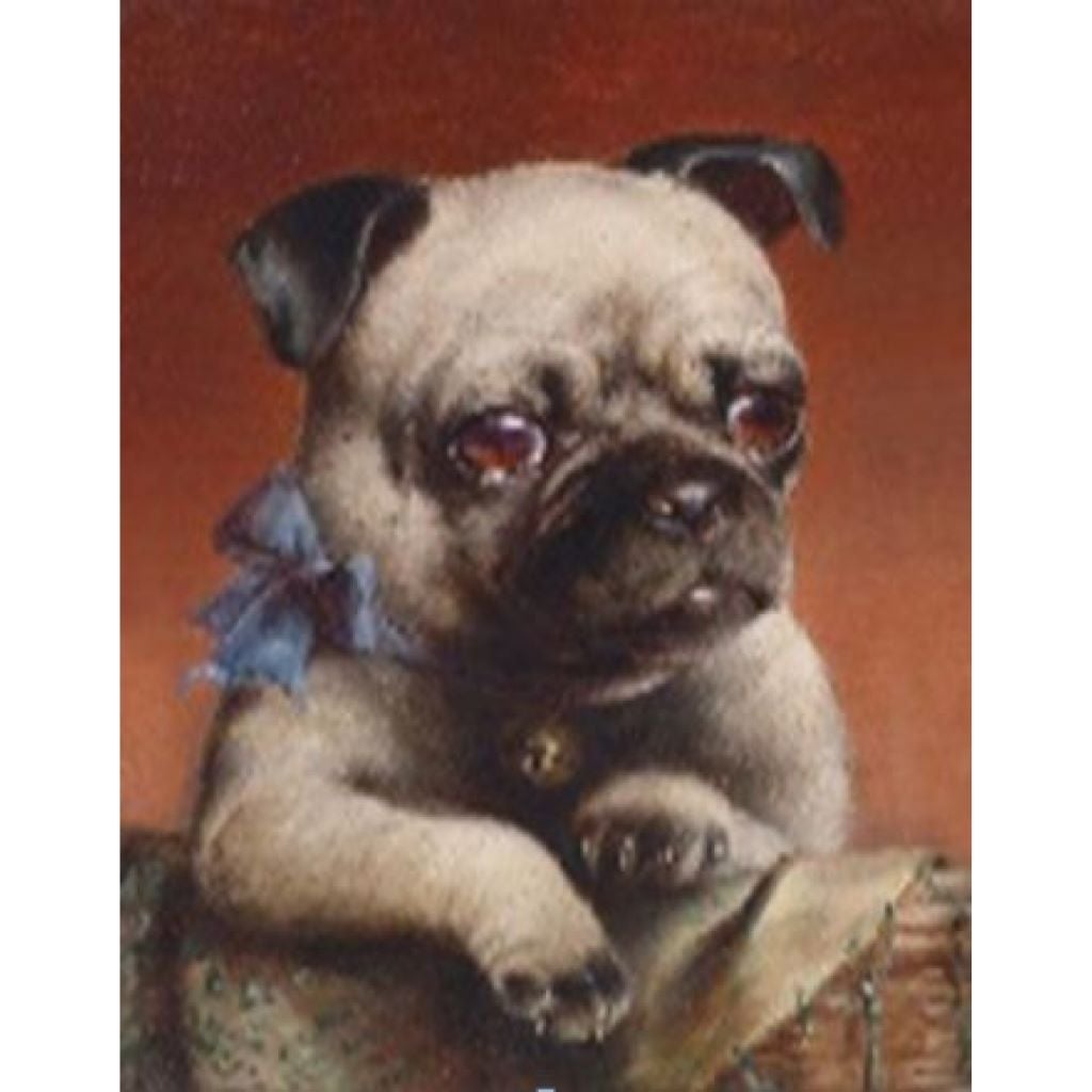 Алмазна мозаїка 40*50 см Мопс на підрамнику у коробці GLE71757 Josefotten