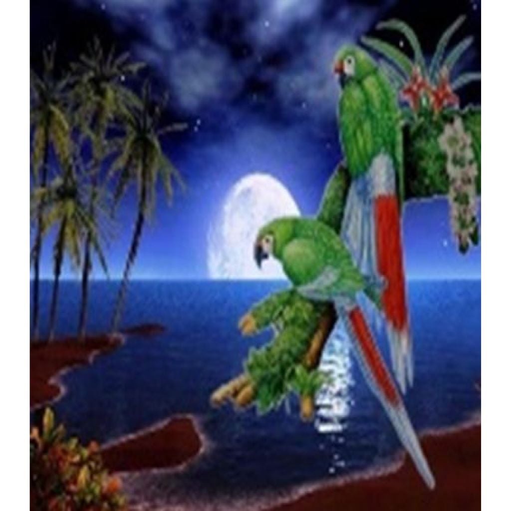 Алмазна мозаїка 40*50 см Папуги на підрамнику у коробці GLE71322 Josefotten