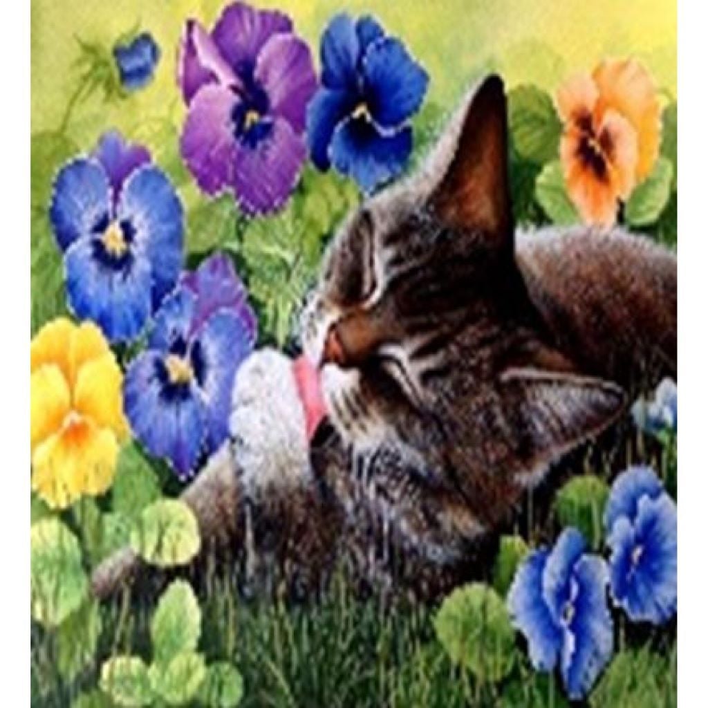 Алмазна мозаїка 40*50 см Кішечка на підрамнику у коробці GLE71296 Josefotten