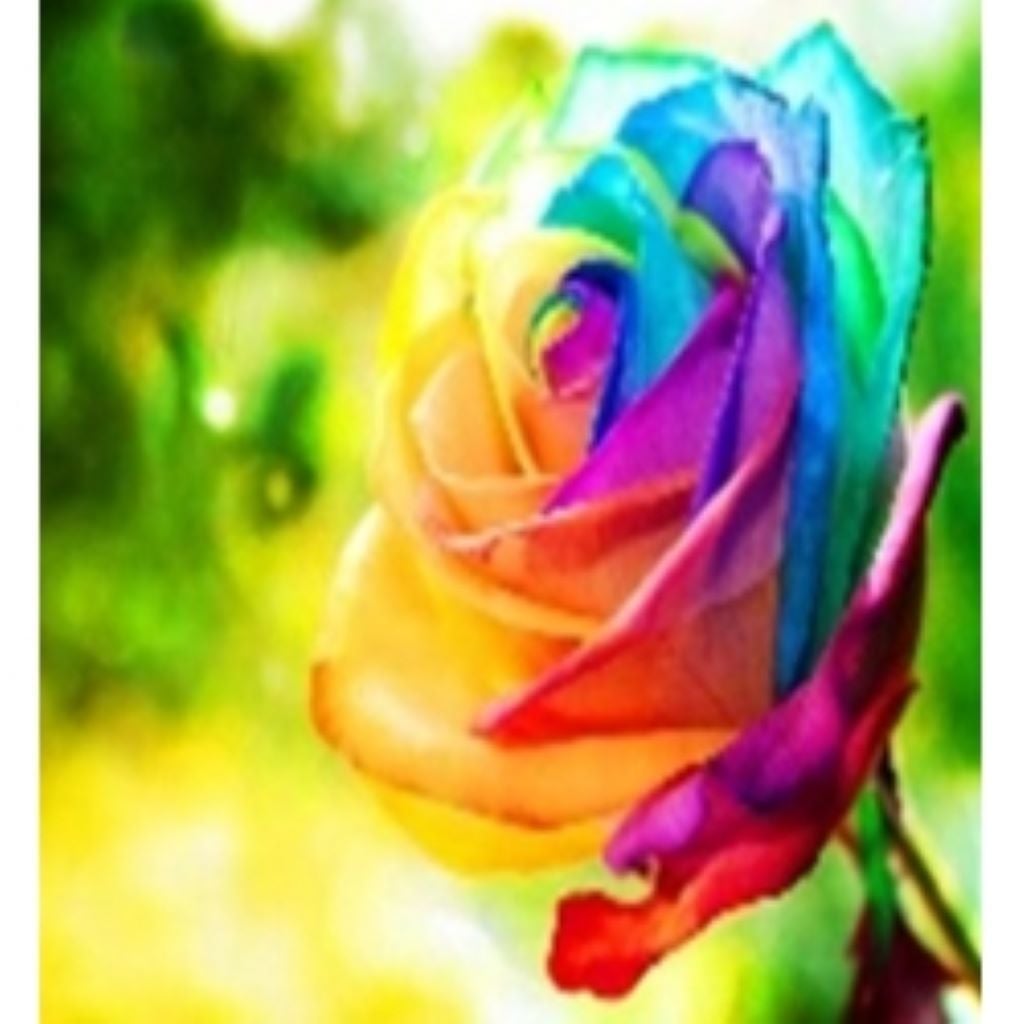 Алмазна мозаїка 40*50 см Кольорова троянда на підрамнику у коробці GLE71470 Josefotten