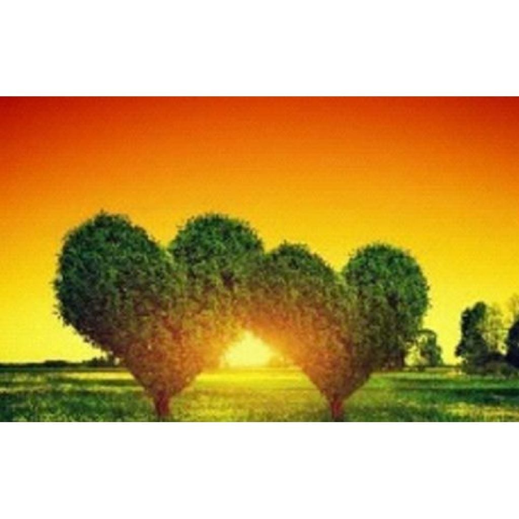 Алмазна мозаїка Два серця 30*40см на підрамнику у коробці GLD61380 Josefotten