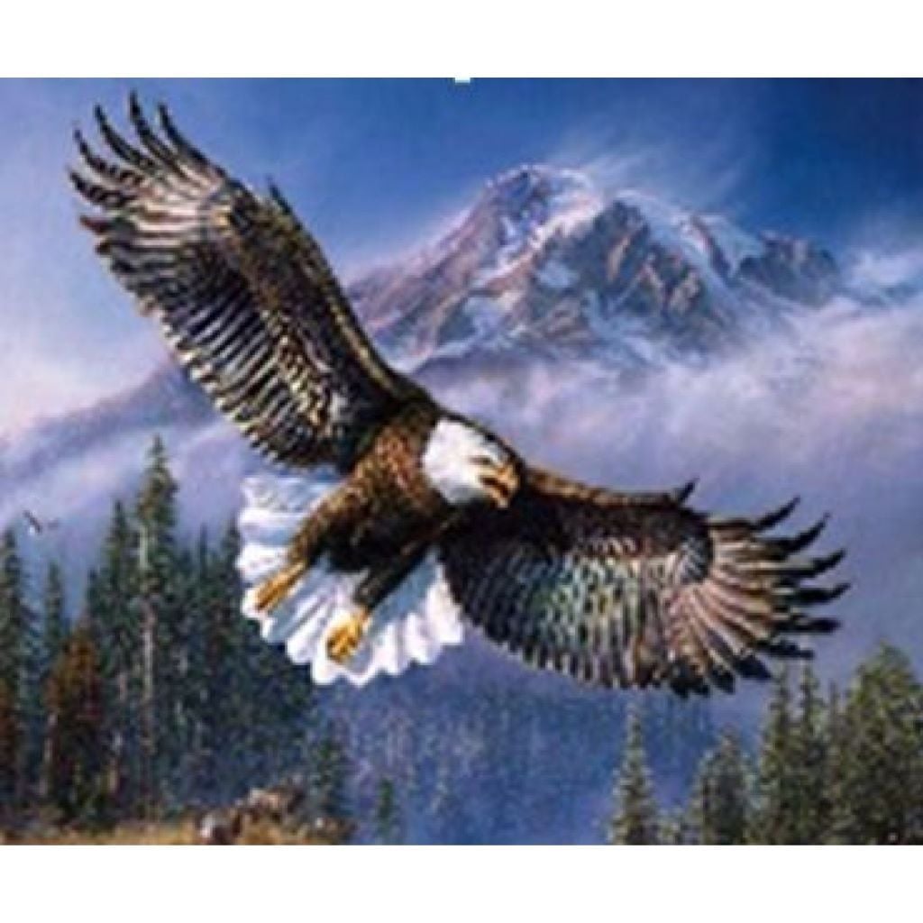 Алмазна мозаїка 40*50 см Орел на підрамнику у коробці GLE71754 Josefotten