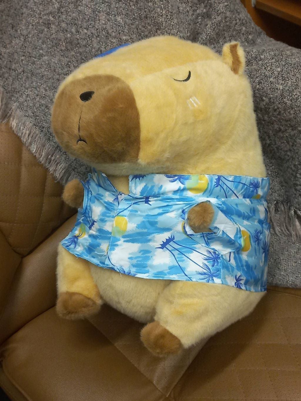 М`яка іграшка Капібара 40см в одязі хутро коричнева ZB-350 Dreamtoys