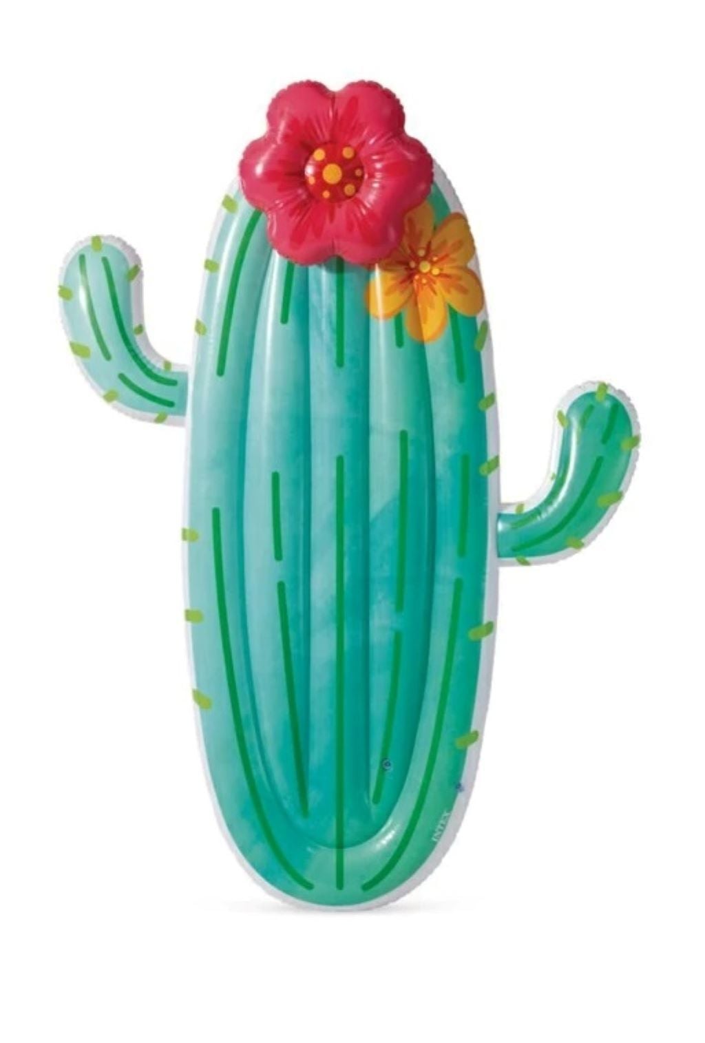 Матрац-пліт надувний Кактус 185*140см у коробці 58793EU intex