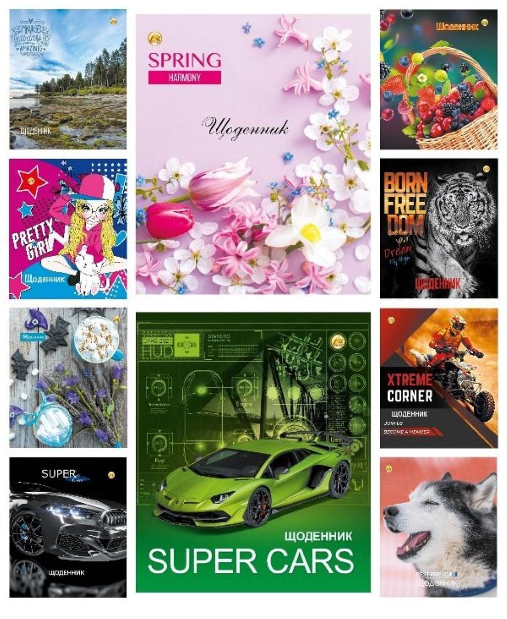 Щоденник шкільний м'яка обкладинка 40арк ламінірований мікс видів і кольорів ЩУ-040-65АЛ-СК-Л Тетрада