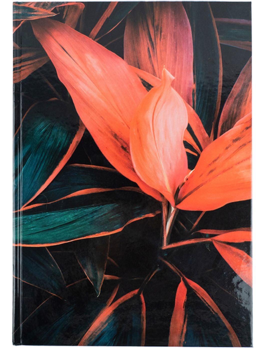 Зошит А4 192арк клітинка тверда картонна ламінірована обкладинка з малюнком Flora помаранчева 8423-28-A Axent