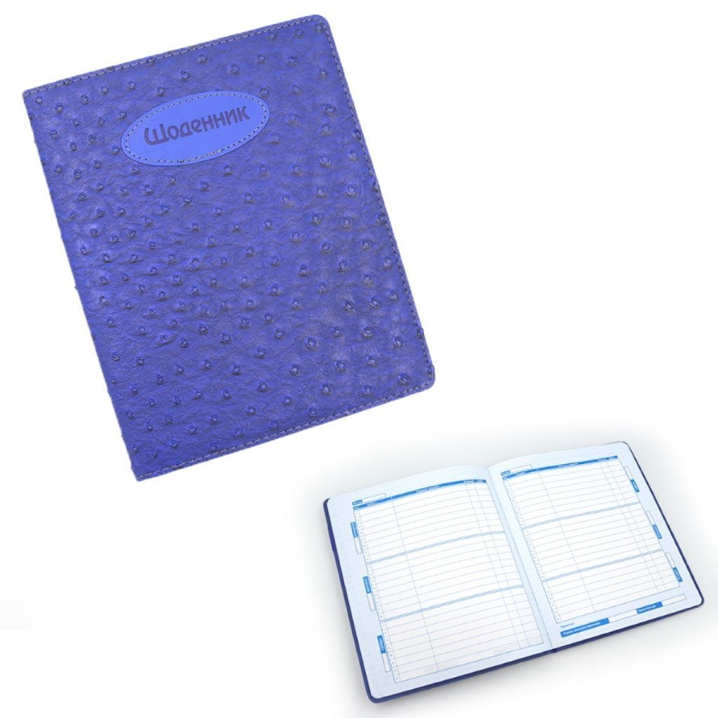 Щоденник шкільний А5 Крапка штучна шкіра 48арк синій D24348 Josefotten