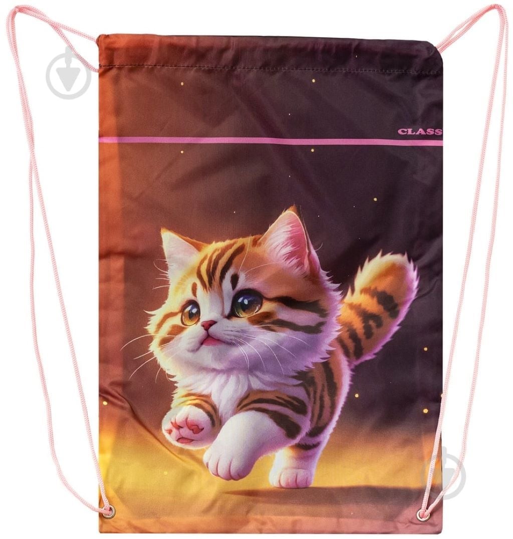 Сумка для взуття 46*33 см Kitty поліестр 2523C Class