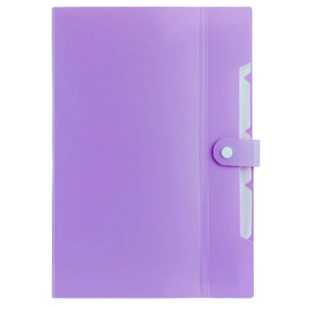 Папка А4 на 6відделень на кнопці лавандова 35520 Україна