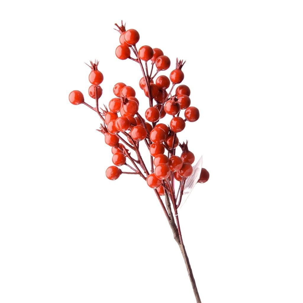 Гілка декоративна Шипшина 30см 1-67 Україна