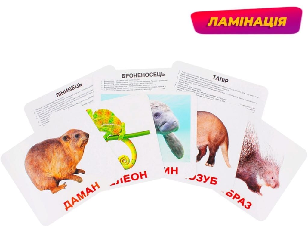 Картки навчальні ламінація Екзотичні тварини 20шт 240фактів 60задань та загадок у кульку 16,5*19,5 115318 Вундеркінд з пелюшок