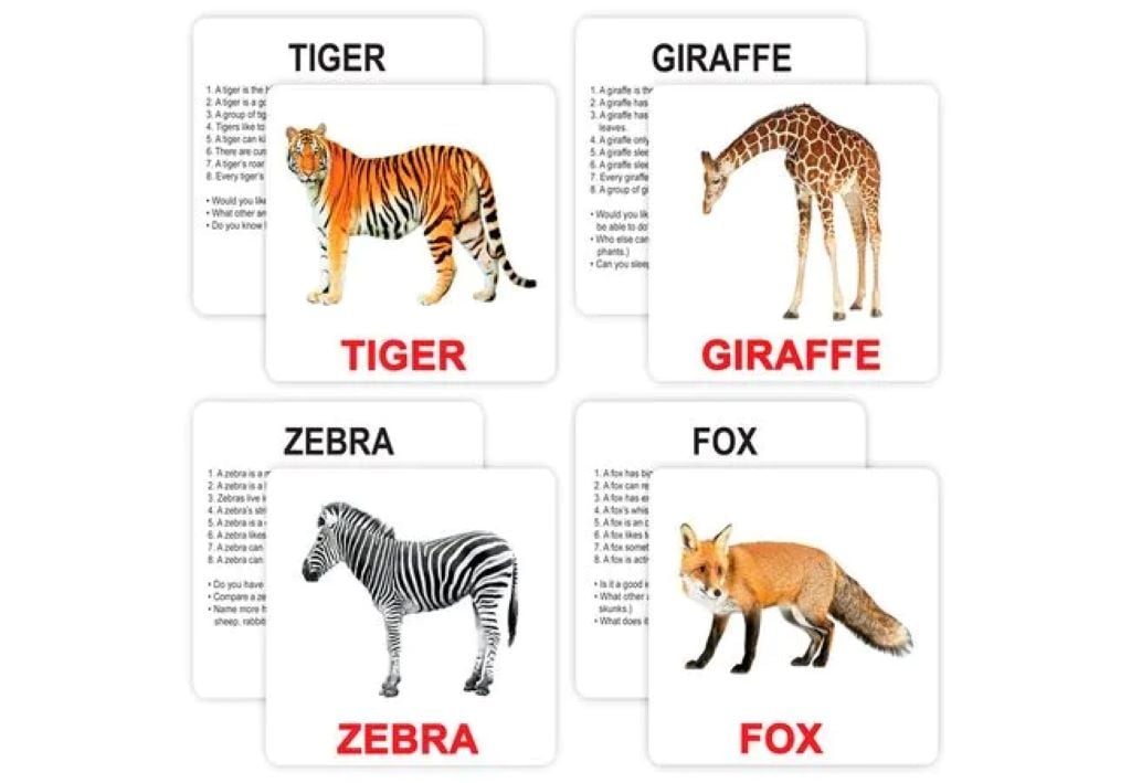 Картки навчальні  Дикі тварини англійською 30шт. у кульку 13*16см 970326 Вундеркінд з пелюшок