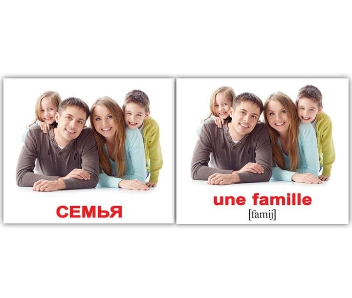Карточки навчальні міні Родина франц-рос 20шт двухсторонние в кульке8*10см. 094101 Вундеркінд з пелюшок