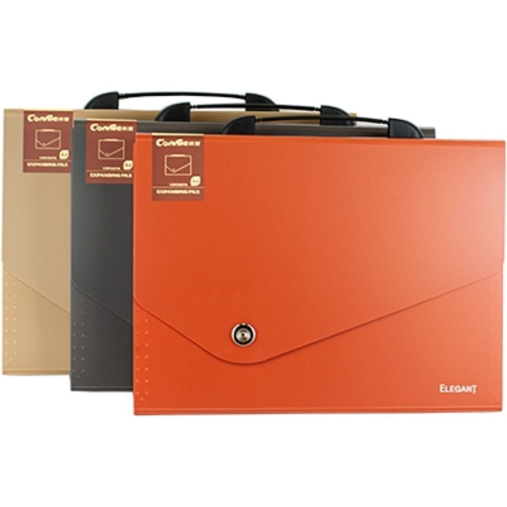 Папка-портфель А4 пластик на кнопці 13 відділень F8801 Китай