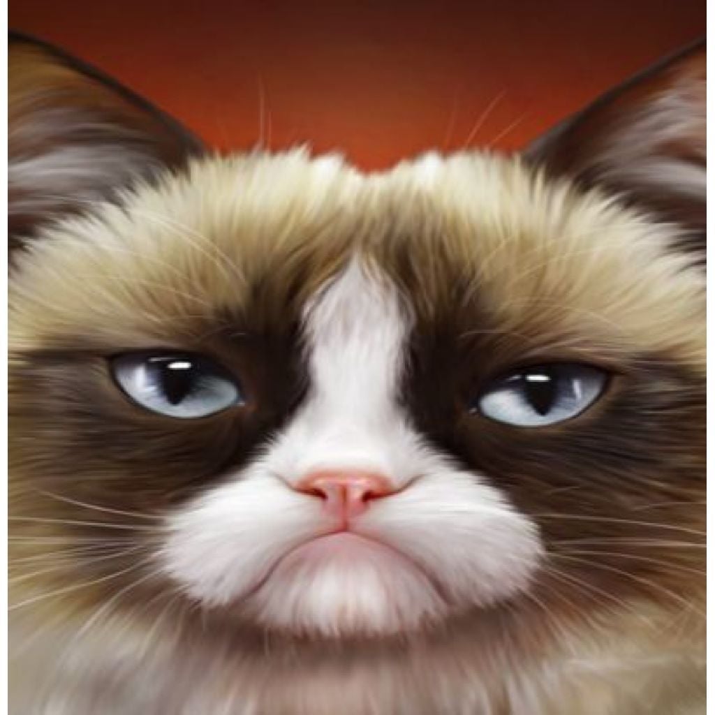 Картина по номерах 20*30см Незадоволений кіт пензлі фарби в термоплівці RAS2088 Josefotten