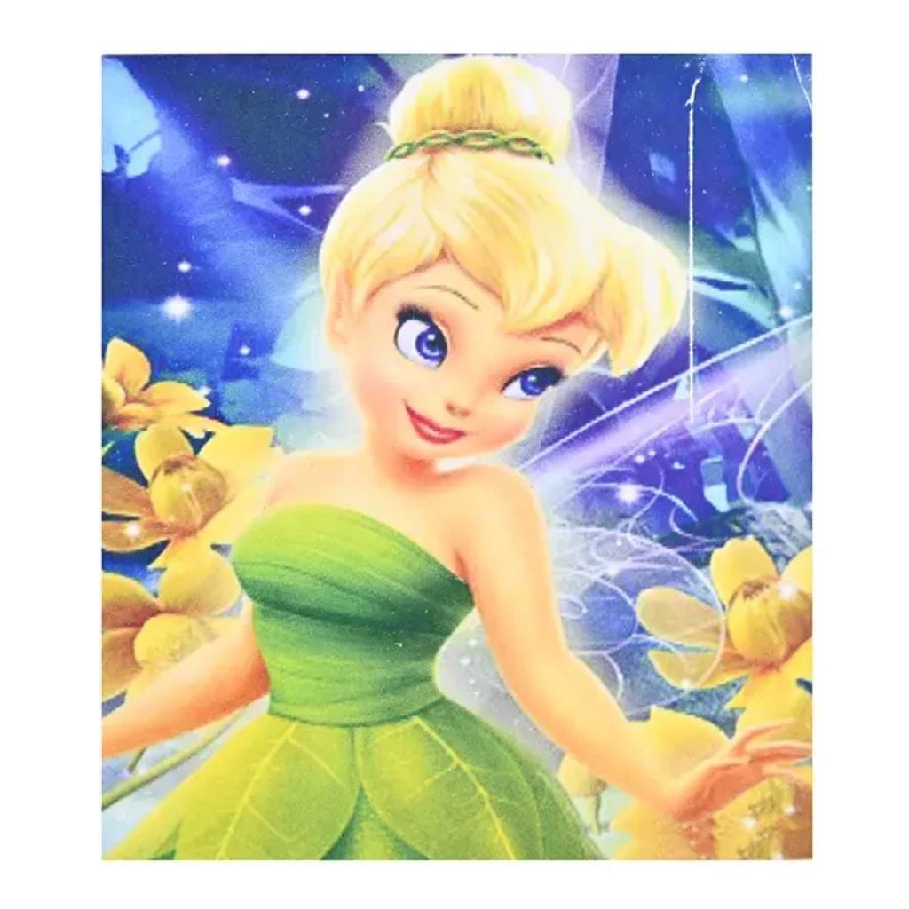 Алмазна мозаїка 20*30см Фея у коробці JS 27616 TK union group