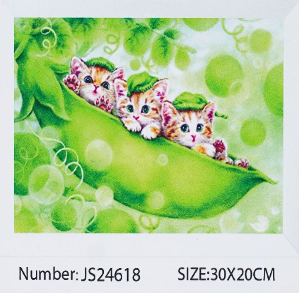 Алмазна мозаїка 20*30см Коти Горошки у коробці JS 24618 TK union group