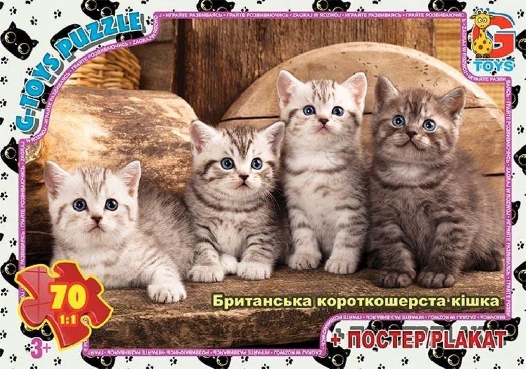 Пазли 70ел 30*21см Домашні улюбленці+ постер  в коробці 17*12*3см AN146 G-Toys