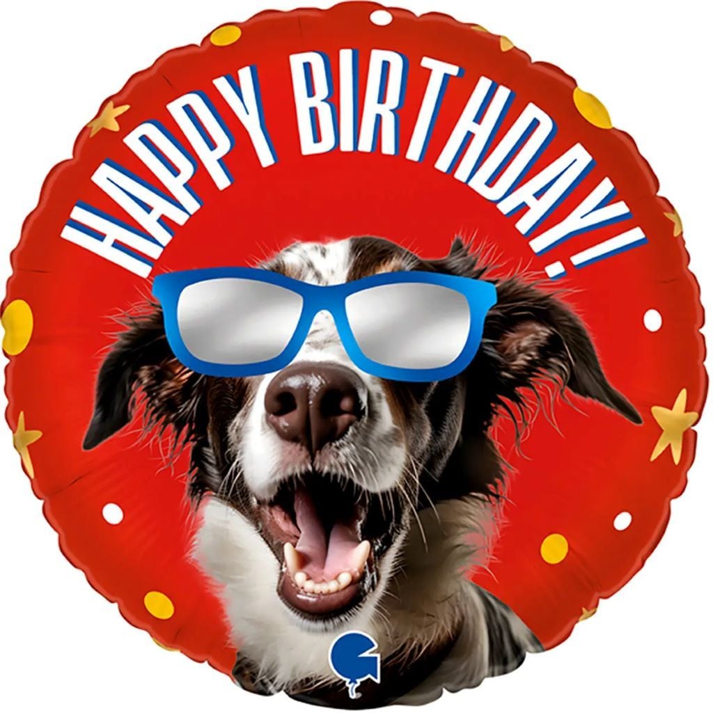 Кулька фольга 18" коло Happy Birthday собака в окулярах в пакеті 3202-3433-19844 Італія