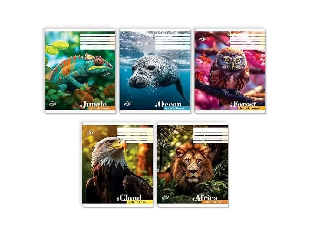 Зошит 36арк лінія тверда обкладинка мікс видів 2452/ТВ-7 Бріск