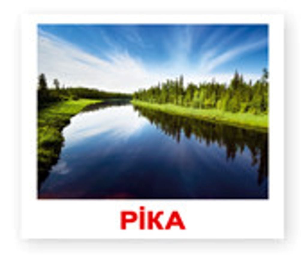 Картки навчальні Природа укр 20шт 180 фактів 60завдань та загадок в пакеті 16,5*19,5 096068 Вундеркінд з пелюшок