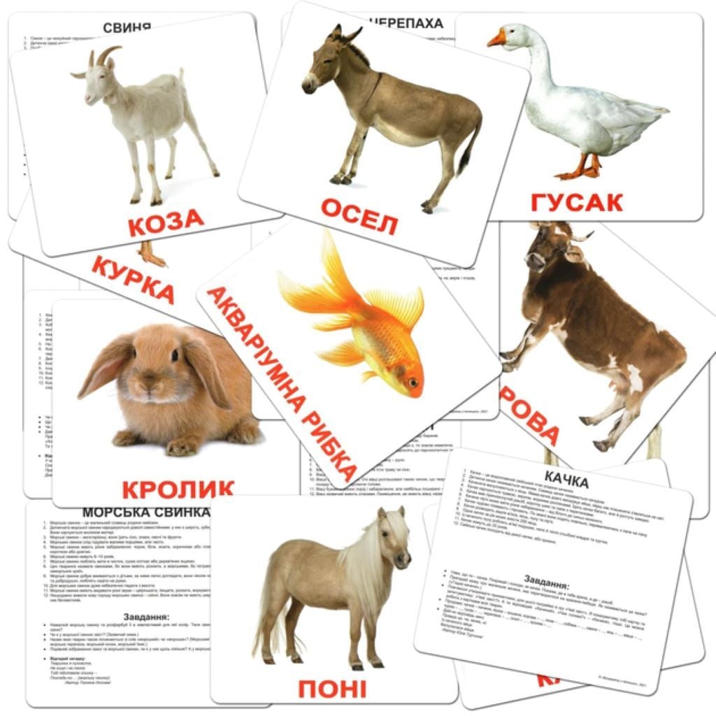 Картки навчальні Свiйскi тварини укр 20шт 240фактів100завдань та загадок в кульку 16,5*19,5 095184 Вундеркінд з пелюшок