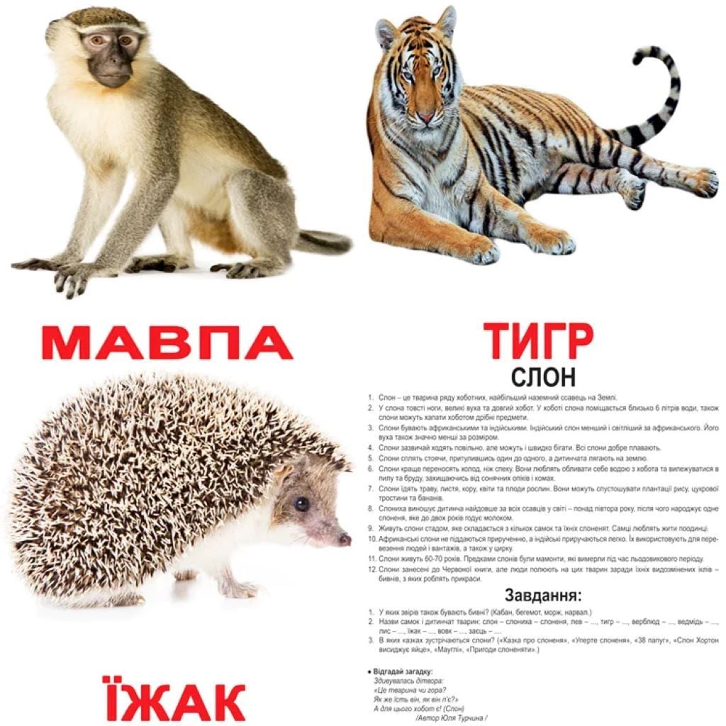 Картки навчальні Дикi тварини укр 20шт 240фактів 80завдань та загадок в кульку 16,5*19,5 095207 Вундеркінд з пелюшок
