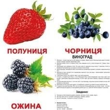 Картки навчальні ламін Ягоди укр 20шт 200фактів 80 завдань та загадок в кульку 16,5*19,5 094217 Вундеркінд з пелюшок