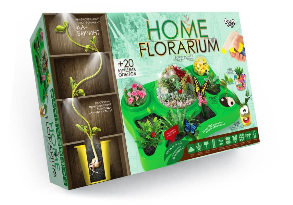 Ботанічні експеременти набір Home Florarium для вирощування рослин у коробці 34*22*8см HFL-01-01 Danko toys