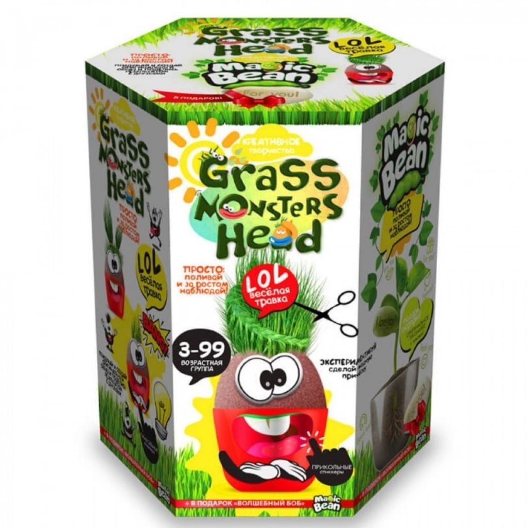 Набір креативної творчесті Crass Monsters Head мікс видів у коробці GMH-01-01-02-06-05 Danko toys