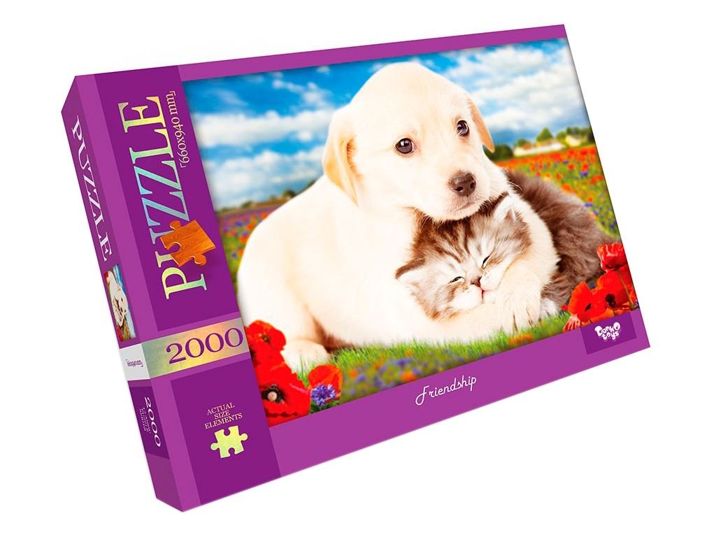 Пазли 2000ел Frendship 660*940 коробка 35*26*4см C2000-01-09 danko toys