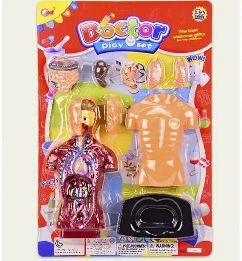 Набір лікаря Анатомія макет тіла та органів на планшеті 29*43*3см 3556 Китай