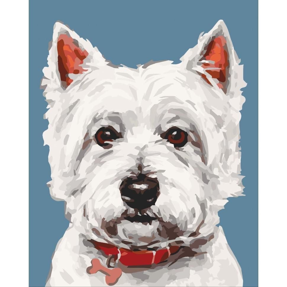 Картина по номерах 40*50см Вайт тер*єр фарби пензлики в термоплівці 11652-AC Art Craft