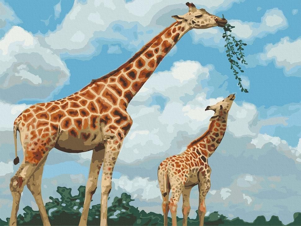 Картина по номерах 40*50см Грація саванни фарби пензлики в термоплівці 11634-AC Art Craft