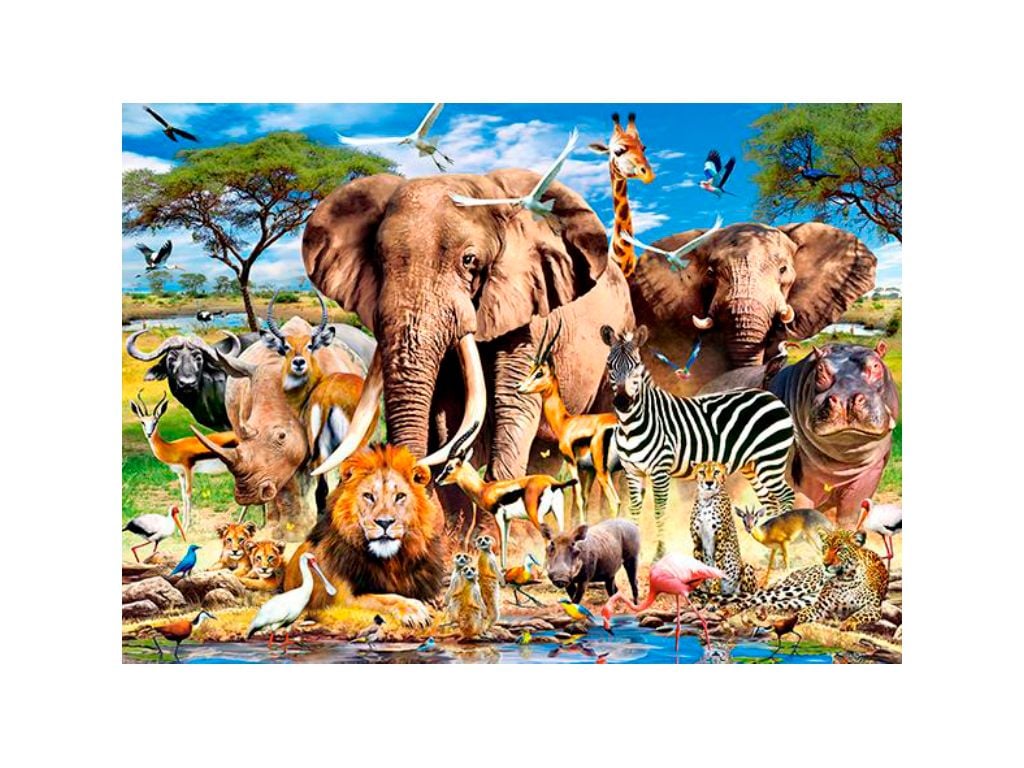 Пазли 1500ел Тварини Саванник в  коробці   68*47см С-151950 Castorlend