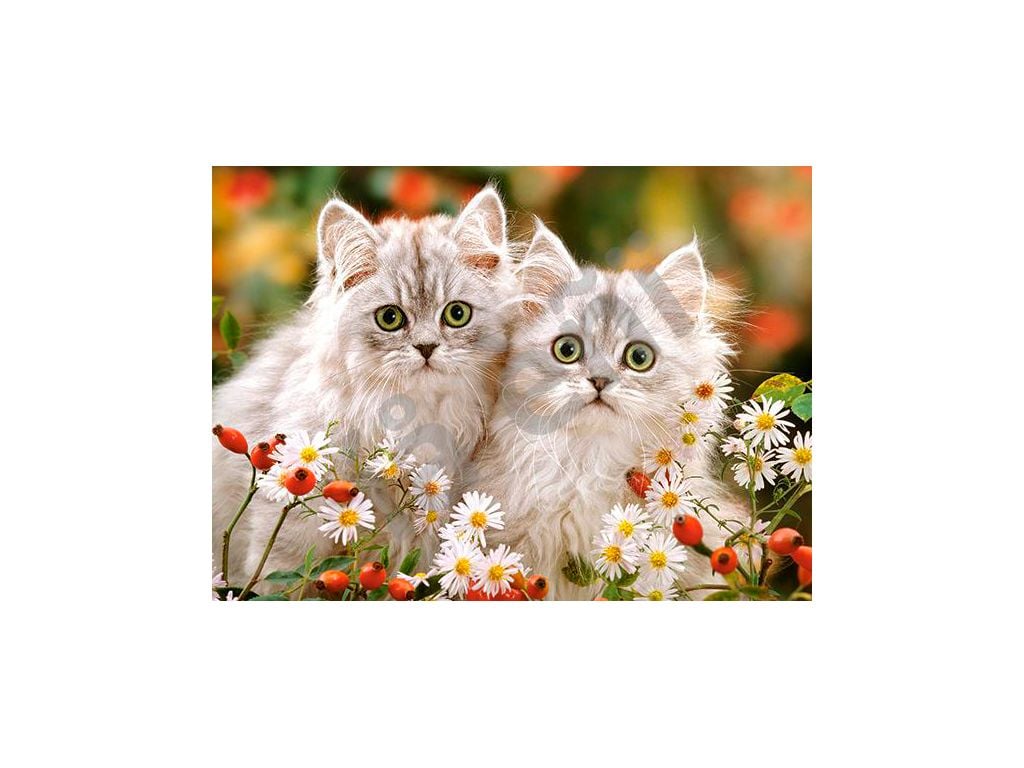 Пазли 200ел Кошенята 40*29см у коробці 32*22*5см B-222131 castrolend