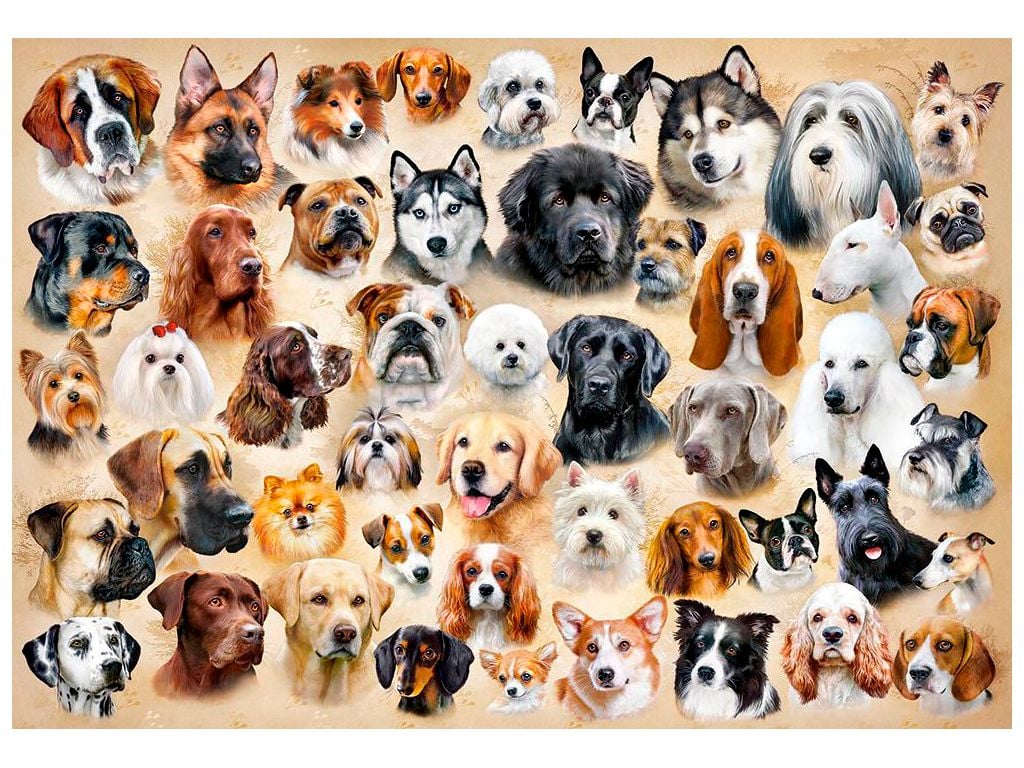 Пазли 200ел Колаж з песиками 40*29см коробка 32*22*5см B-222162 castrolend