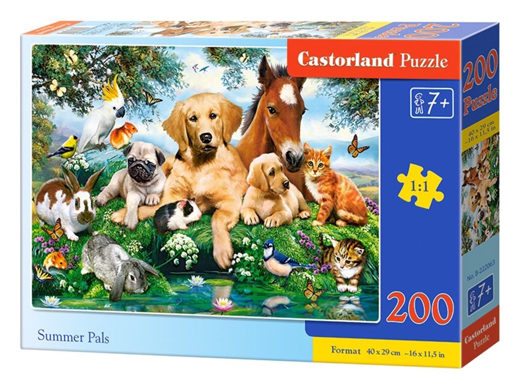 Пазли 200ел Друзі 40*29см коробка 32*22*5см B-222063 castrolend