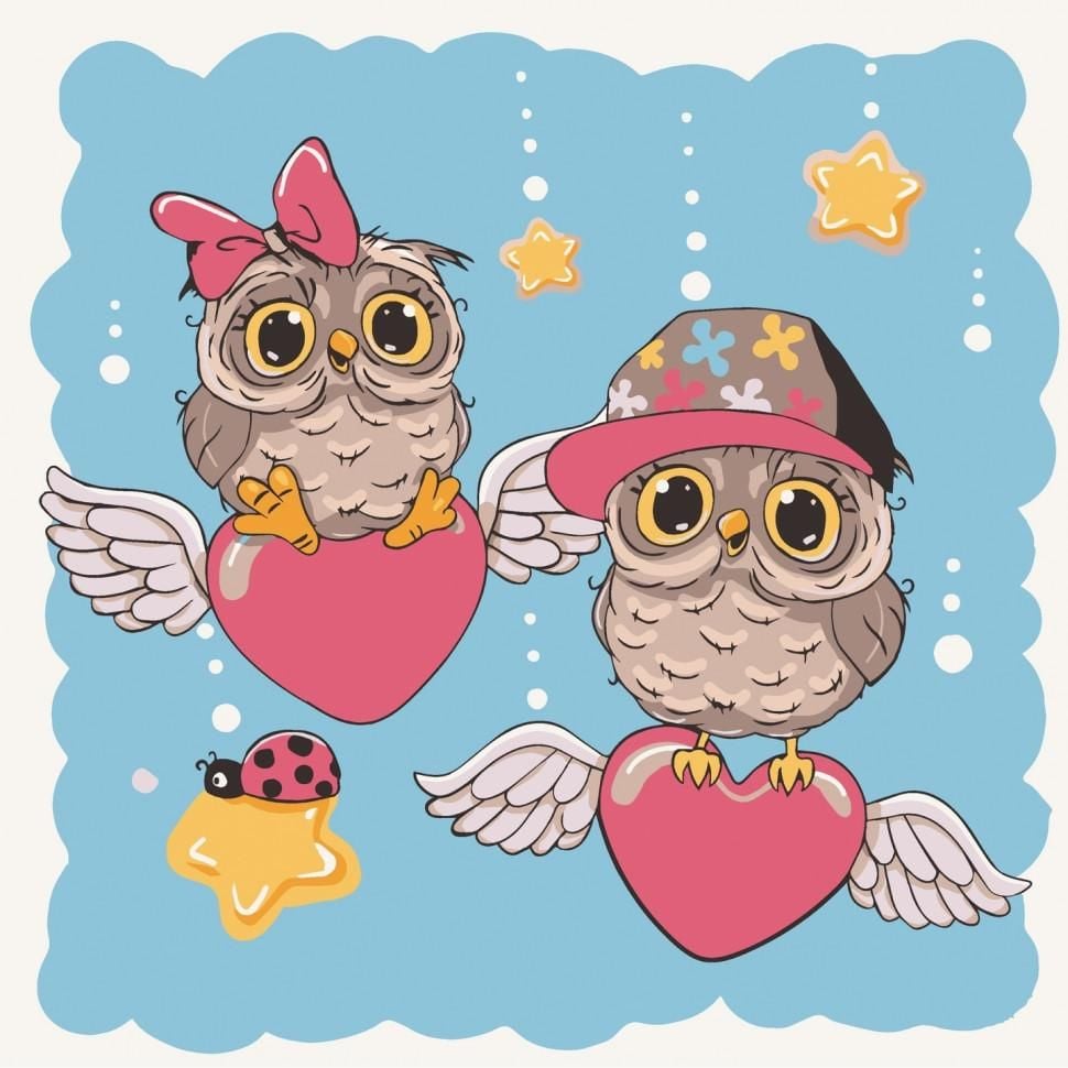 Розфарбовка 30*30см Закохані совенята на підрамнику фарби пензли в термоплівці 15558-AC Art Craft