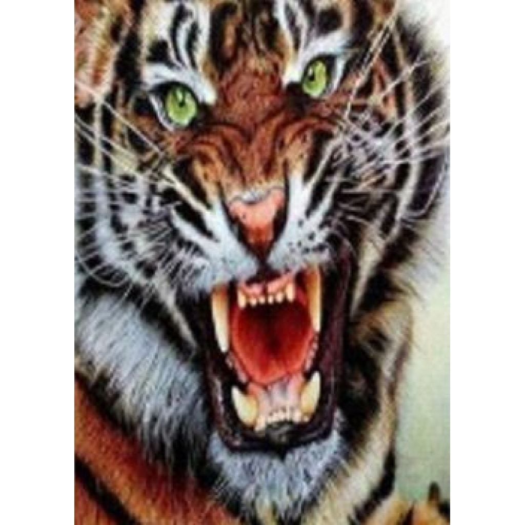 Алмазна мозаїка Тигр 30*40см на підрамнику у коробці GLD60172 Josefotten