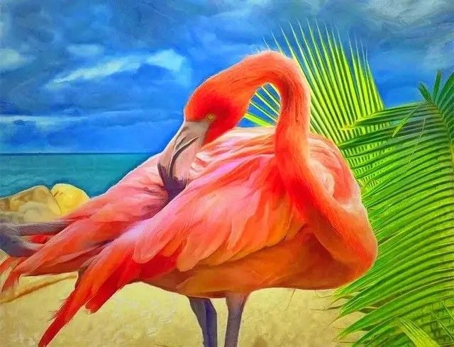 Алмазна мозаїка 40*50см Фламінго на підрамнику у коробці GLE70847 Josefotten